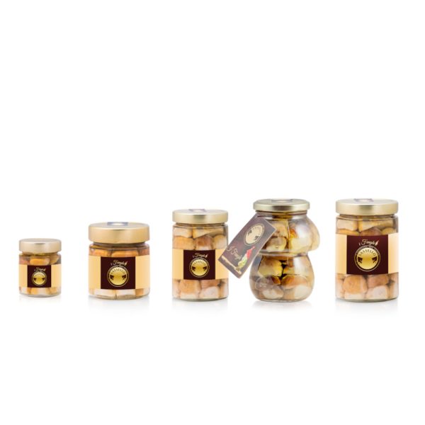 Funghi Porcini interi Premium in Olio di Oliva